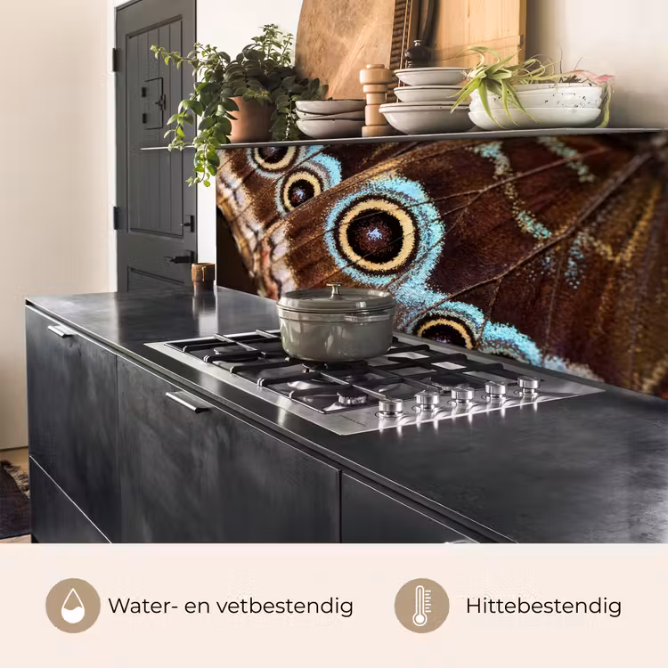Keuken achterwand - Vleugels - Vlinder - Blauw — 5