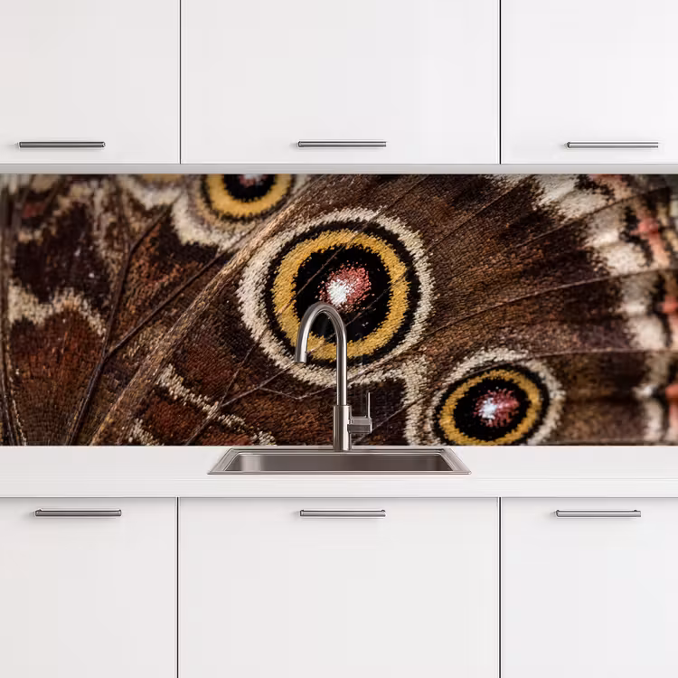 Keuken achterwand - Vlinder - Vleugel - Abstract — 4