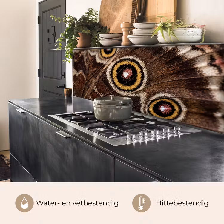Keuken achterwand - Vlinder - Vleugel - Abstract — 5
