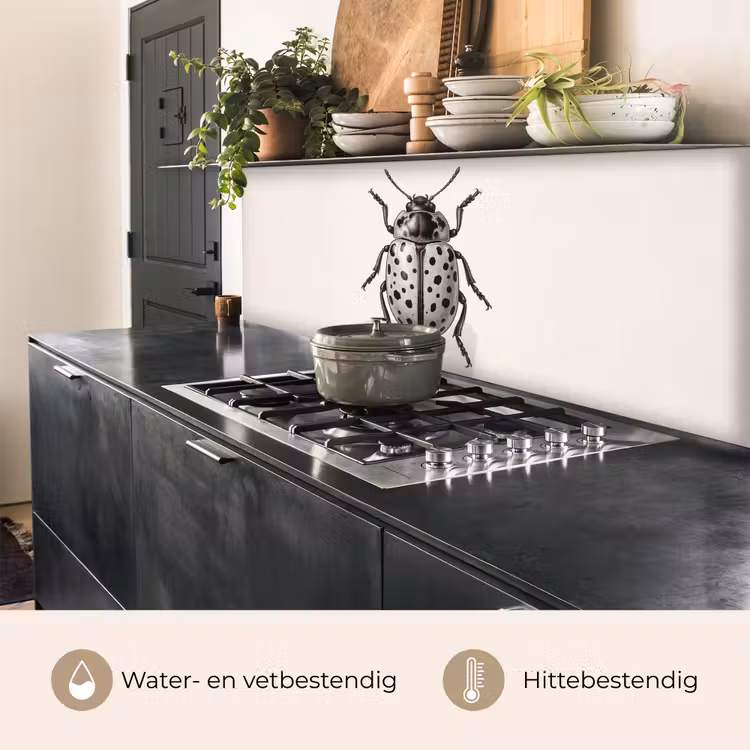Keuken achterwand - Kever - Insect - Vintage — 5