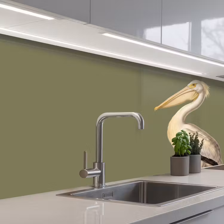 Keuken achterwand - Pelikaan - Wit - Vogel - Klassiek - Natuur — 2