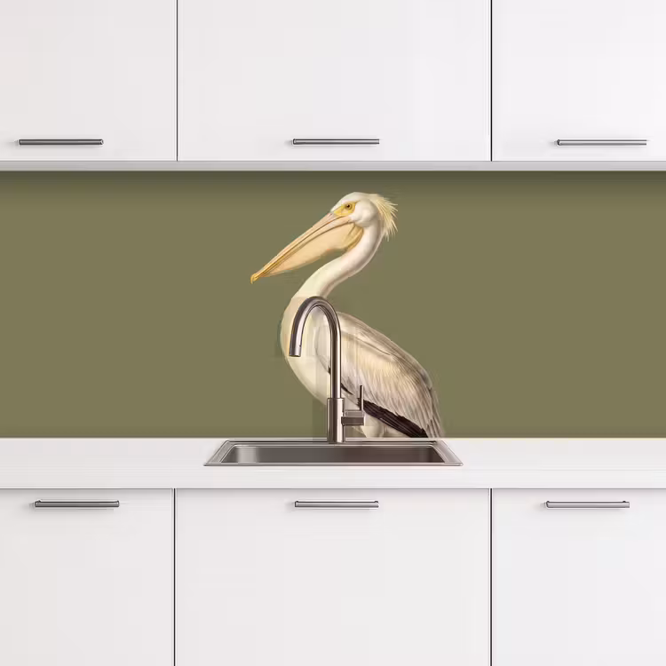 Keuken achterwand - Pelikaan - Wit - Vogel - Klassiek - Natuur — 4