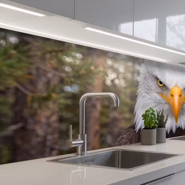Keuken achterwand - Amerikaans - Zeearend - Portret - Geel — 2