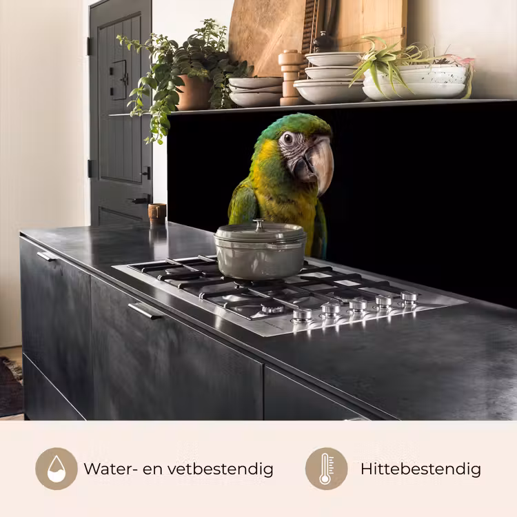 Keuken achterwand - Ara - Portret - Groen — 5
