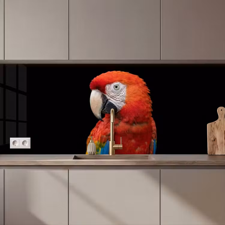 Keuken achterwand - Ara - Portret - Rood — 1