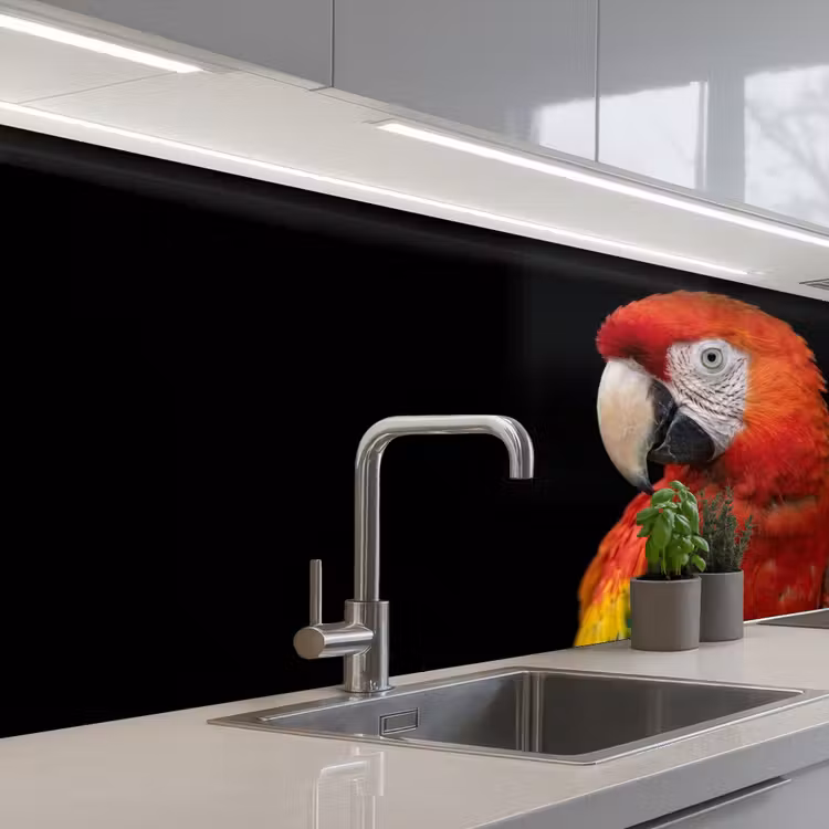 Keuken achterwand - Ara - Portret - Rood — 2