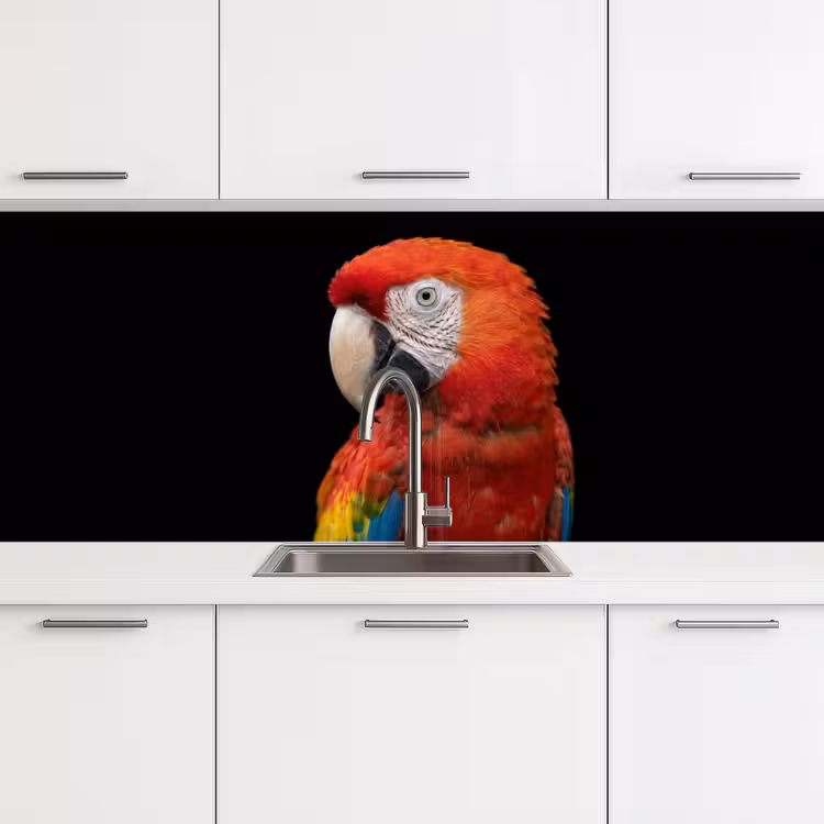 Keuken achterwand - Ara - Portret - Rood — 4