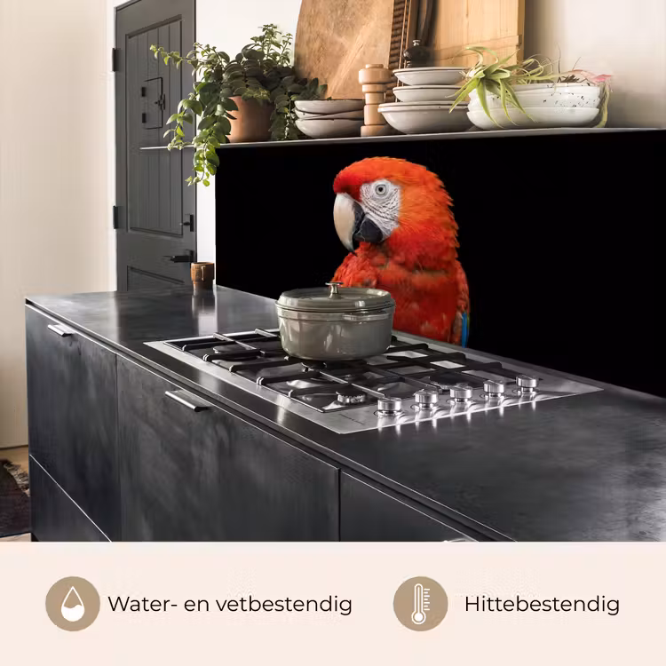 Keuken achterwand - Ara - Portret - Rood — 5