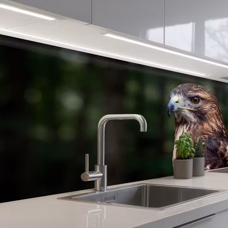 Keuken achterwand - Buizerd - Roofvogel - Natuur - Bruin — 2