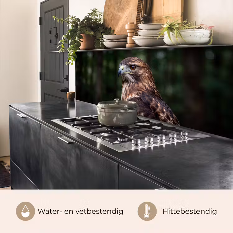 Keuken achterwand - Buizerd - Roofvogel - Natuur - Bruin — 5