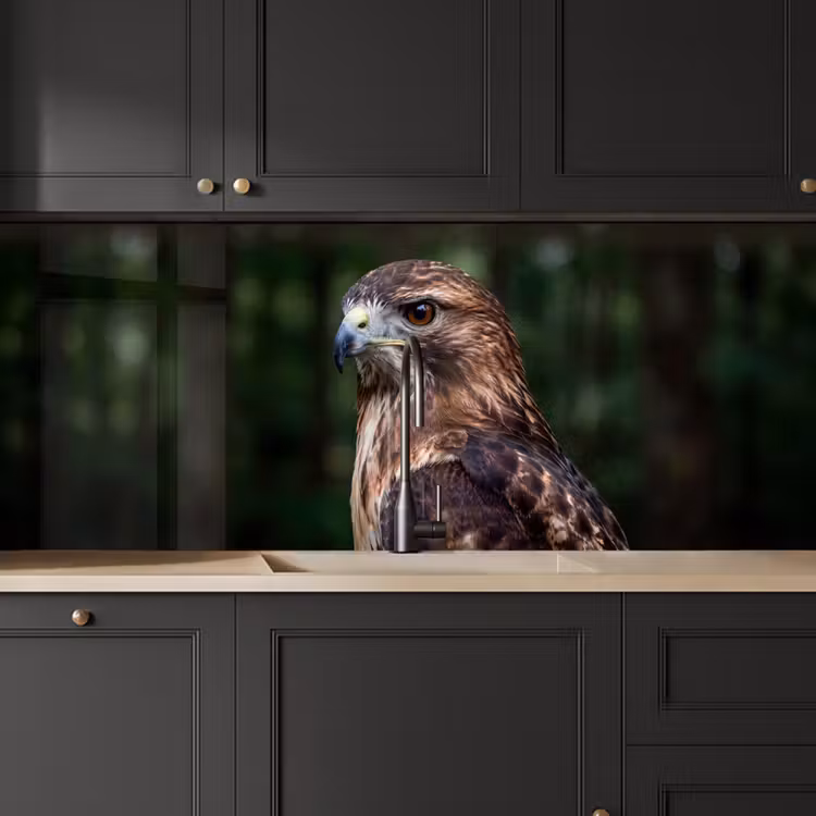 Keuken achterwand - Buizerd - Roofvogel - Natuur - Bruin — 6