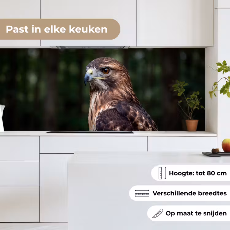 Keuken achterwand - Buizerd - Roofvogel - Natuur - Bruin — 7