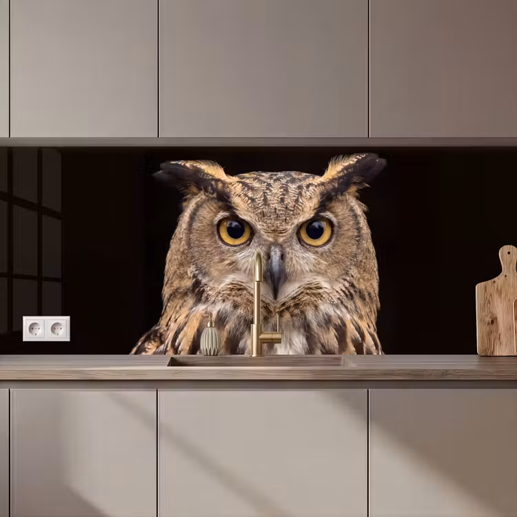Keuken achterwand - Oehoe - Uil - Portret - Bruin — 1