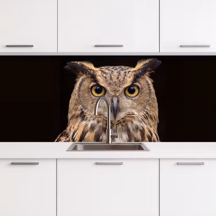 Keuken achterwand - Oehoe - Uil - Portret - Bruin — 4