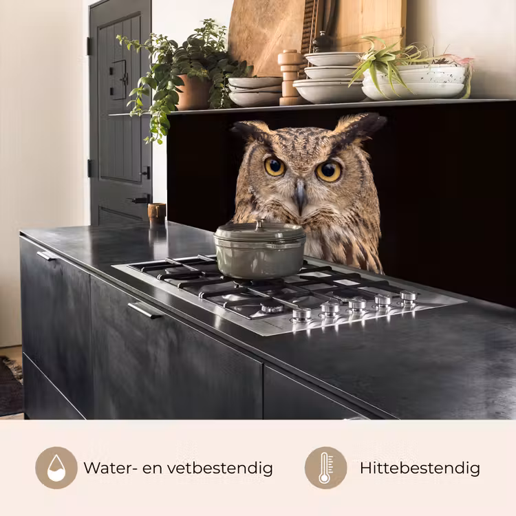 Keuken achterwand - Oehoe - Uil - Portret - Bruin — 5