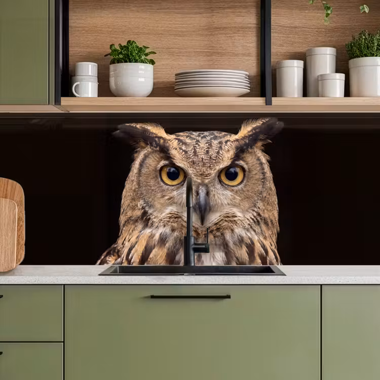 Keuken achterwand - Oehoe - Uil - Portret - Bruin — 8