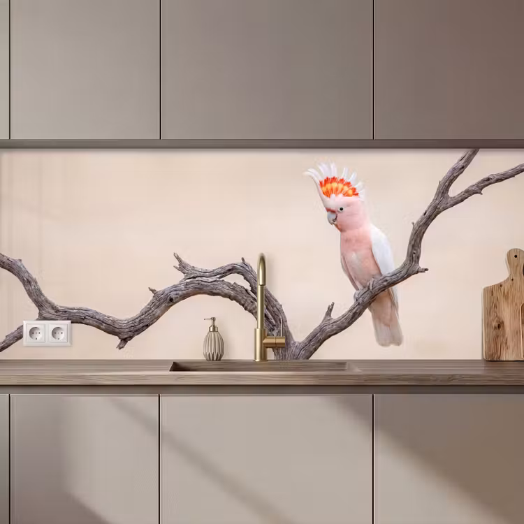 Keuken achterwand - Papagaai - Tak - Roze — 1