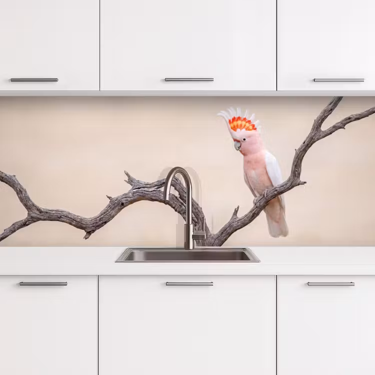 Keuken achterwand - Papagaai - Tak - Roze — 4