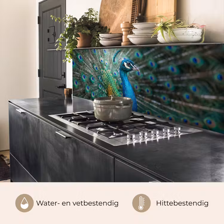 Keuken achterwand - Pauw - Veren - Blauw — 5