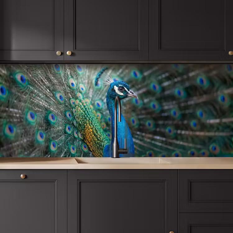 Keuken achterwand - Pauw - Veren - Blauw — 6
