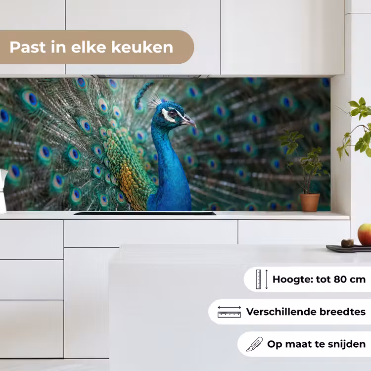 Keuken achterwand - Pauw - Veren - Blauw — 7