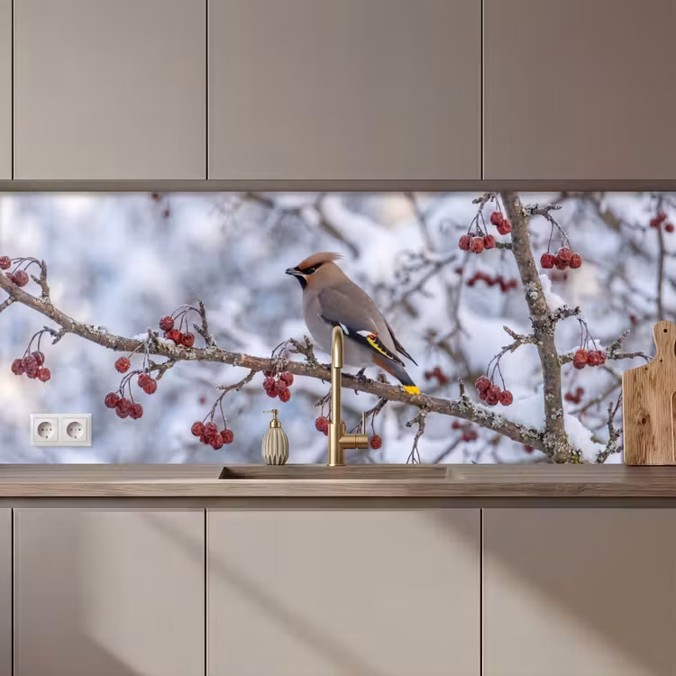Keuken achterwand - Pestvogel - Bessen - Winter - Natuur — 1