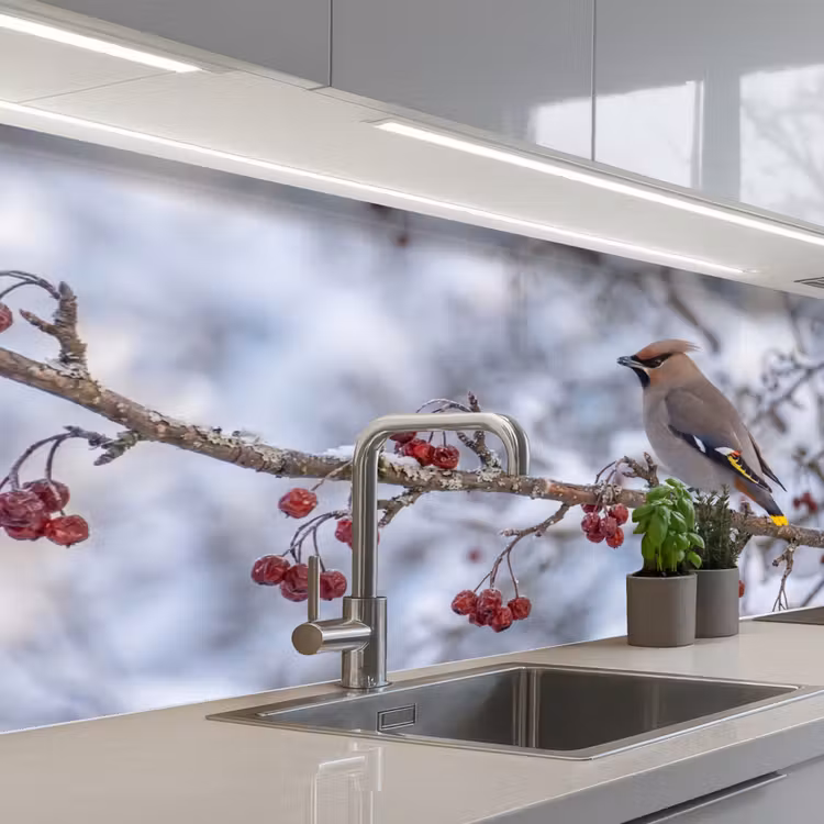 Keuken achterwand - Pestvogel - Bessen - Winter - Natuur — 2