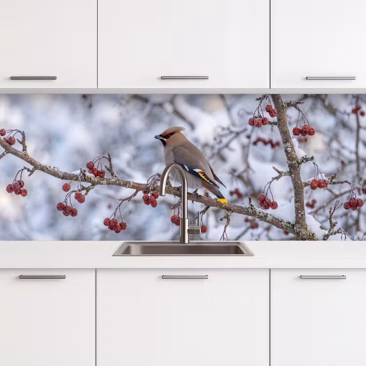 Keuken achterwand - Pestvogel - Bessen - Winter - Natuur — 4