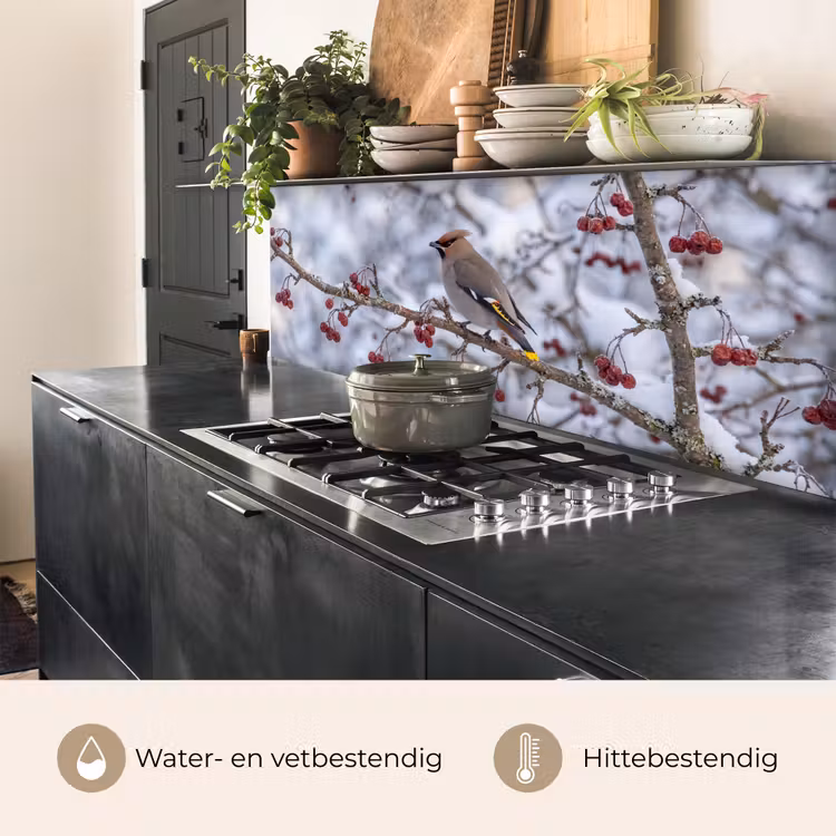 Keuken achterwand - Pestvogel - Bessen - Winter - Natuur — 5