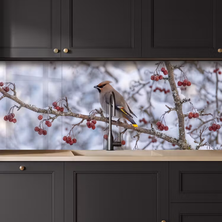 Keuken achterwand - Pestvogel - Bessen - Winter - Natuur — 6