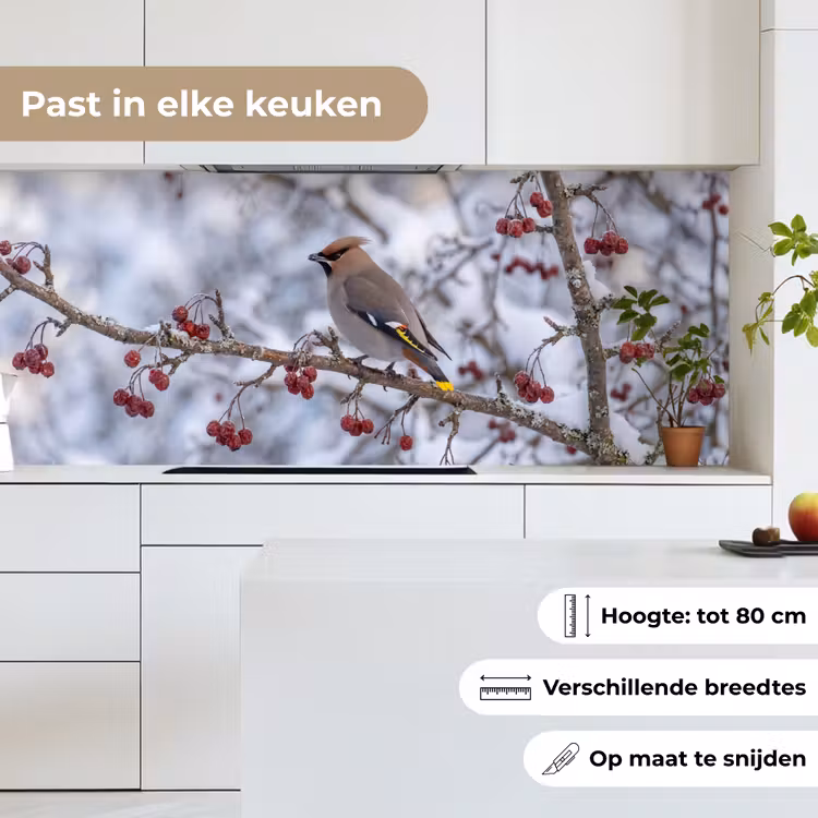Keuken achterwand - Pestvogel - Bessen - Winter - Natuur — 7