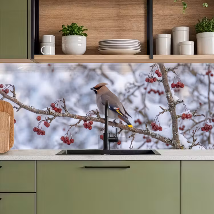 Keuken achterwand - Pestvogel - Bessen - Winter - Natuur — 8