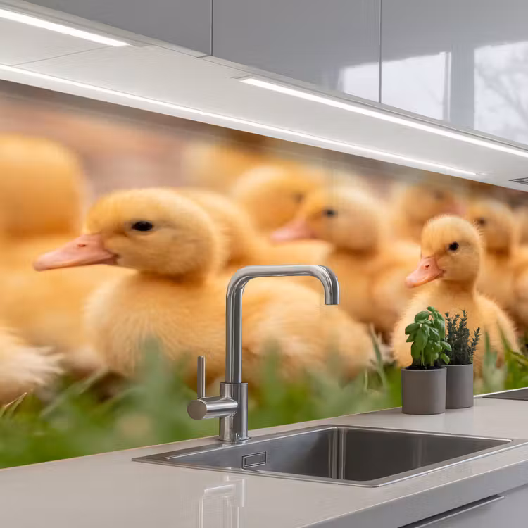 Keuken achterwand - Pijltje - Eend - Natuur - Geel — 2