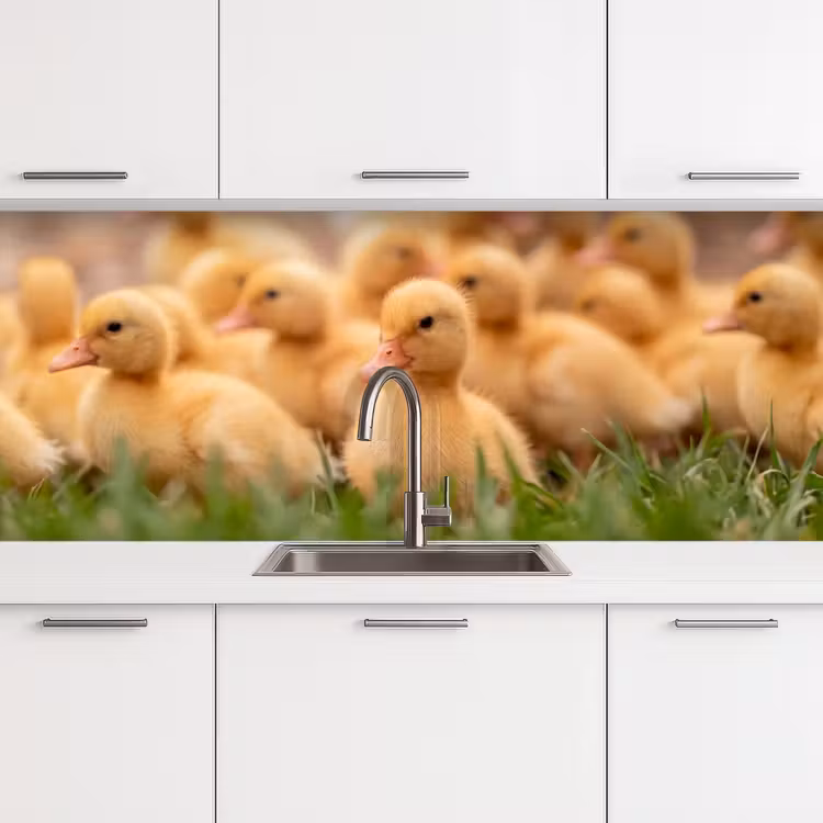 Keuken achterwand - Pijltje - Eend - Natuur - Geel — 4