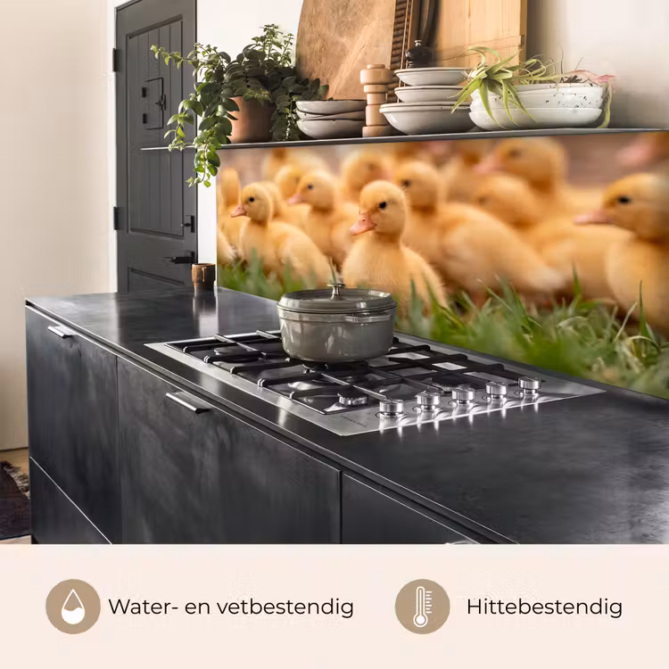 Keuken achterwand - Pijltje - Eend - Natuur - Geel — 5
