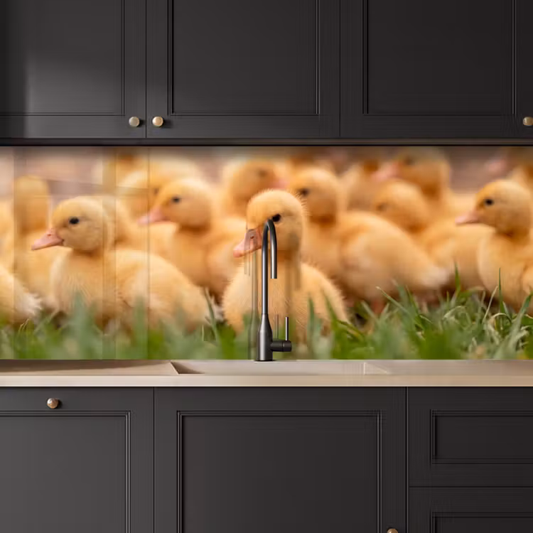 Keuken achterwand - Pijltje - Eend - Natuur - Geel — 6