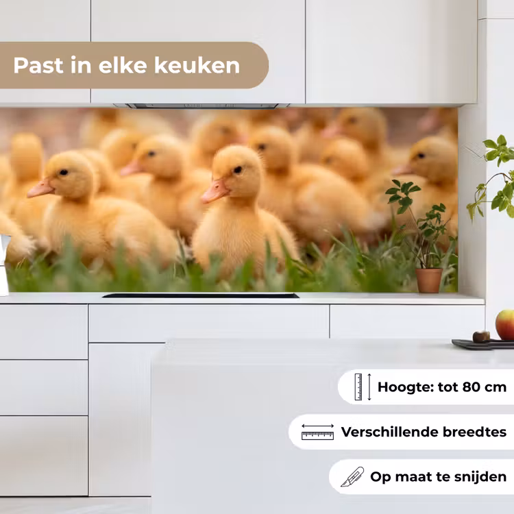Keuken achterwand - Pijltje - Eend - Natuur - Geel — 7