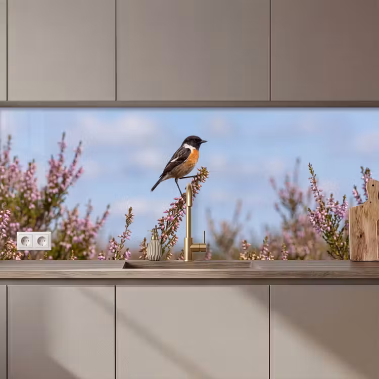 Keuken achterwand - Roodborsttapuit - Heide - Paars - Natuur - Sfeervol — 1