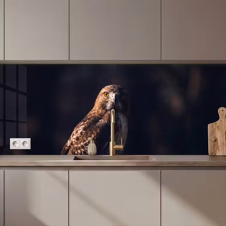 Keuken achterwand - Roofvogel - Buizerd - Bruin — 1