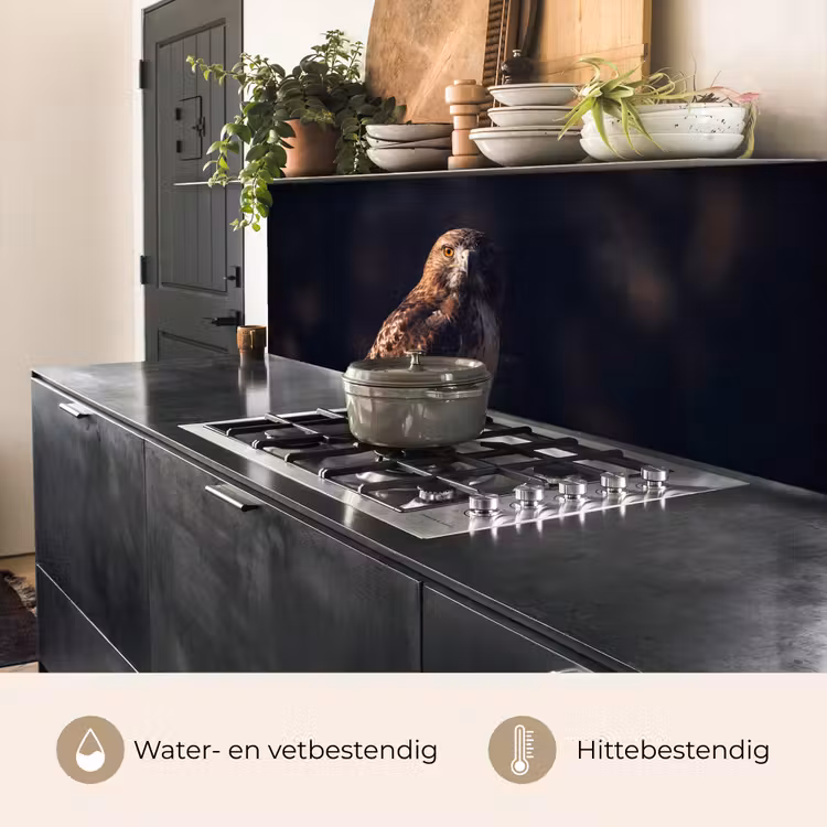Keuken achterwand - Roofvogel - Buizerd - Bruin — 5
