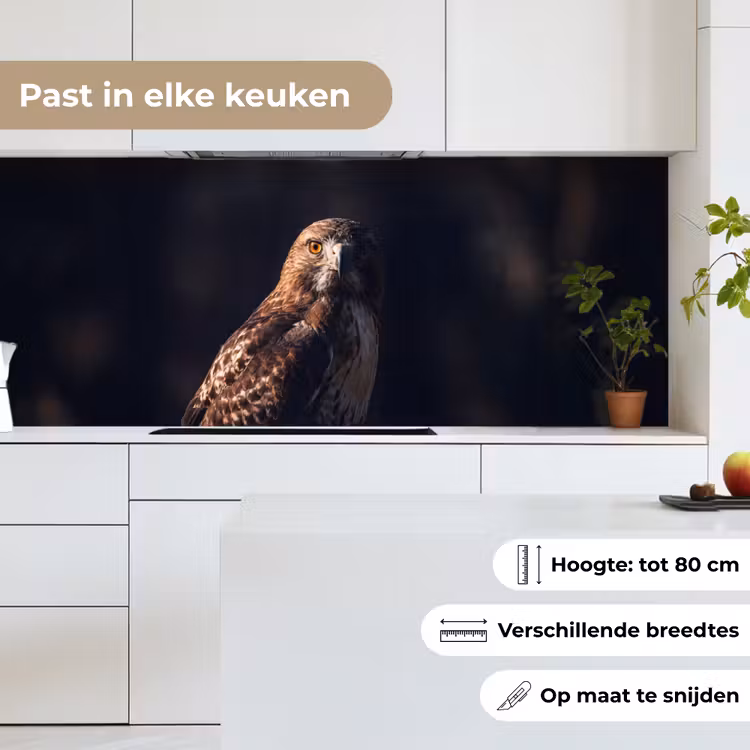 Keuken achterwand - Roofvogel - Buizerd - Bruin — 7