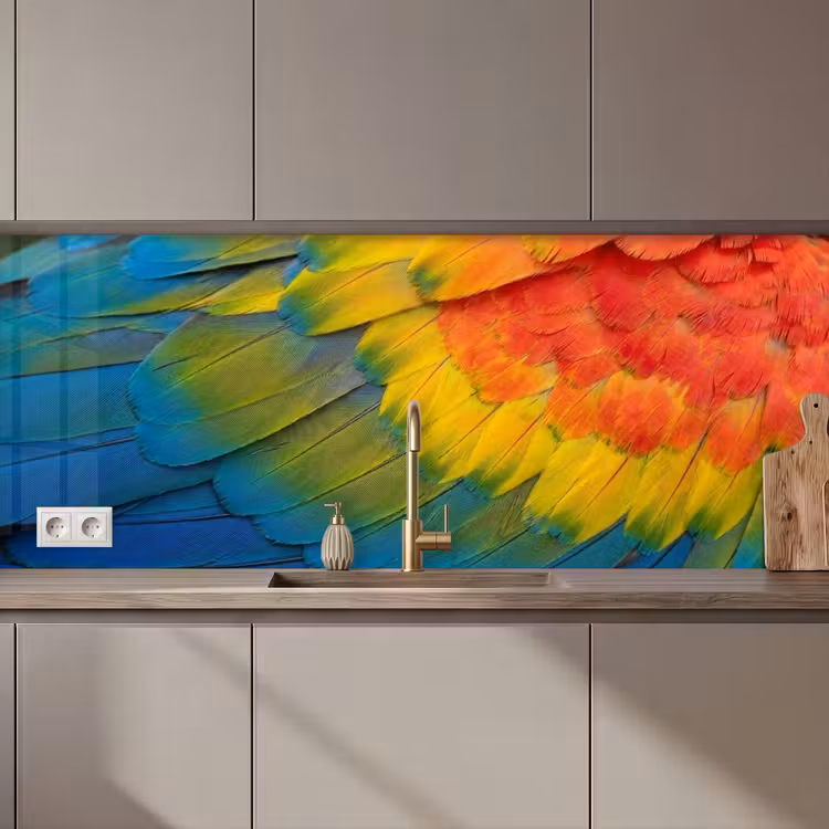 Keuken achterwand - Veren - Ara - Kleurrijk — 1