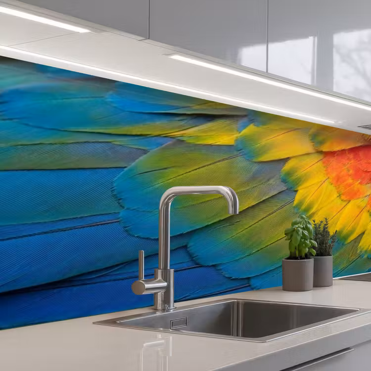 Keuken achterwand - Veren - Ara - Kleurrijk — 2