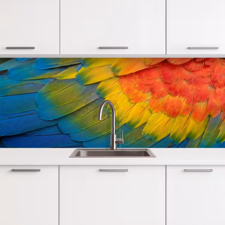Keuken achterwand - Veren - Ara - Kleurrijk — 4