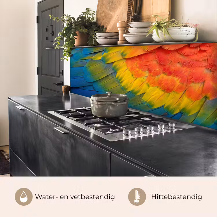 Keuken achterwand - Veren - Ara - Kleurrijk — 5
