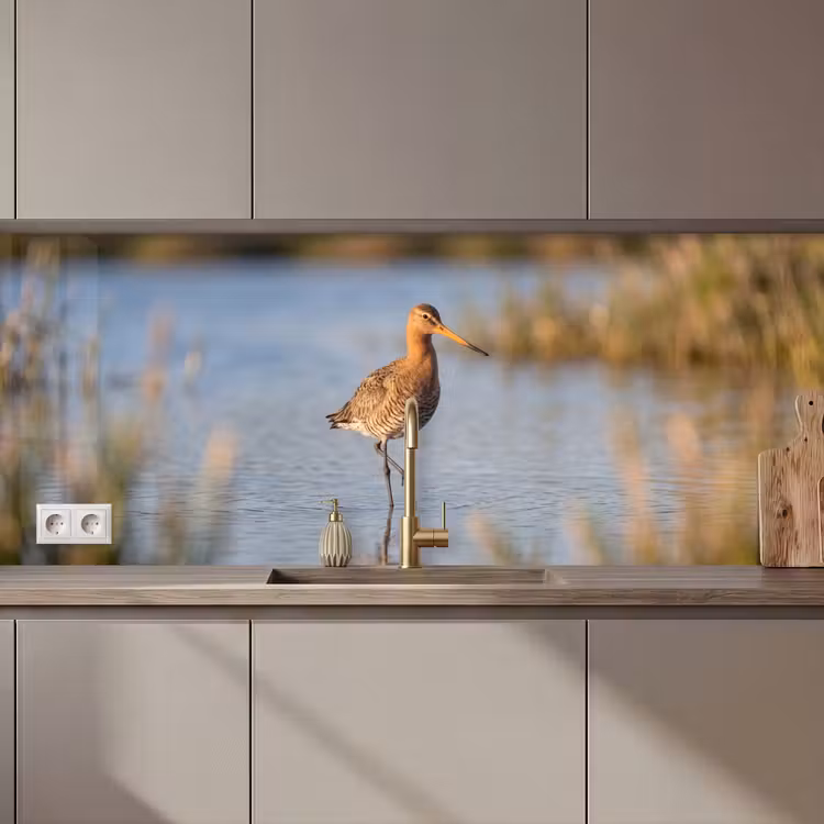 Keuken achterwand - Vogel - Steltloper - Water - Natuur — 1