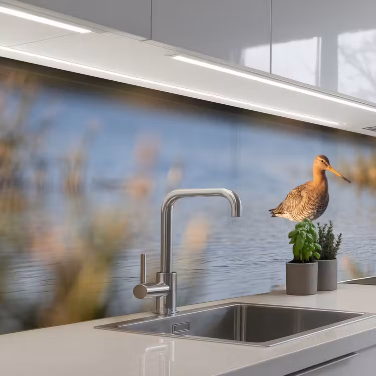 Keuken achterwand - Vogel - Steltloper - Water - Natuur — 2