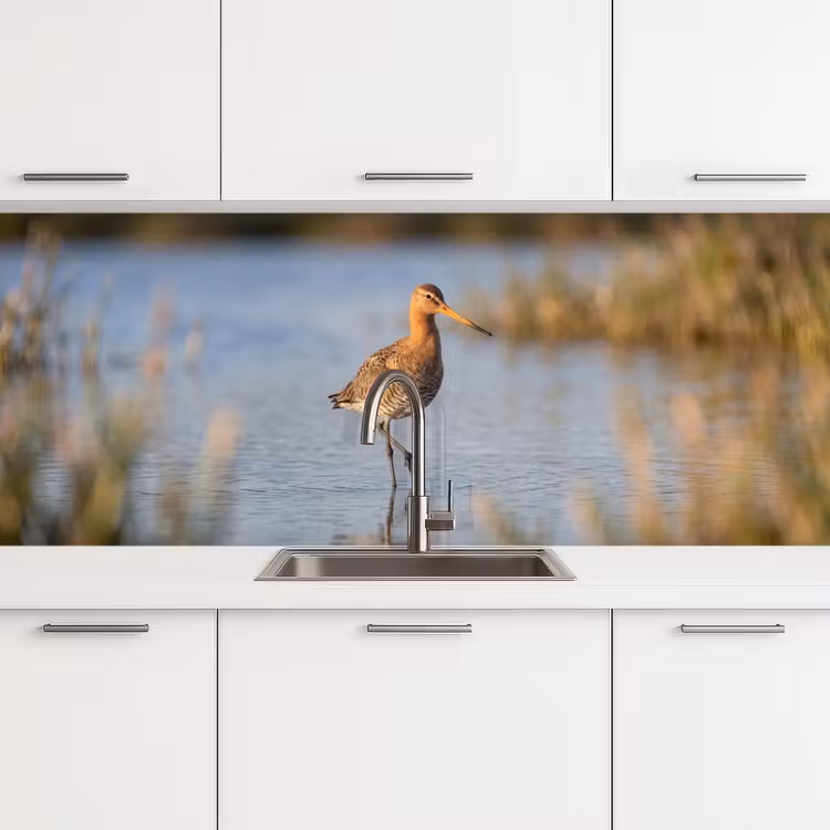 Keuken achterwand - Vogel - Steltloper - Water - Natuur — 4
