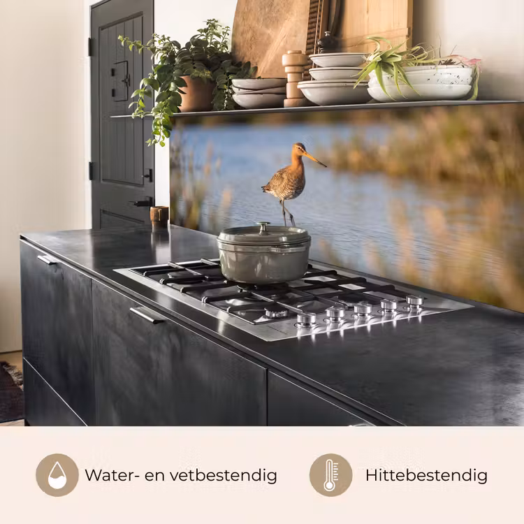 Keuken achterwand - Vogel - Steltloper - Water - Natuur — 5