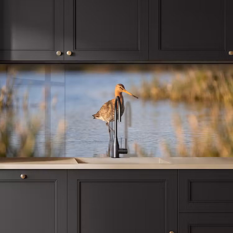 Keuken achterwand - Vogel - Steltloper - Water - Natuur — 6